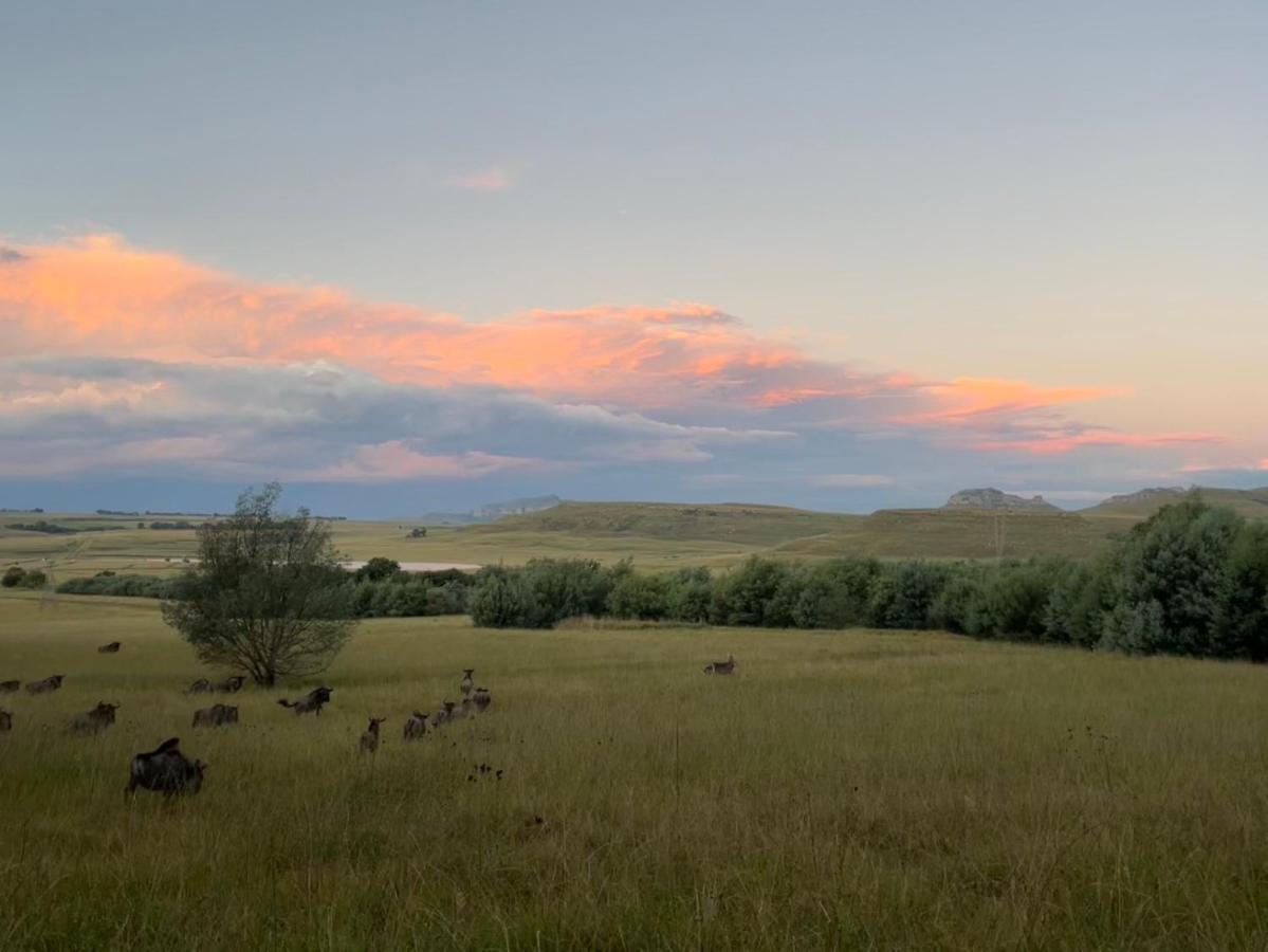 Buffalo Hills Private Game Reserve Chalet Harrismith